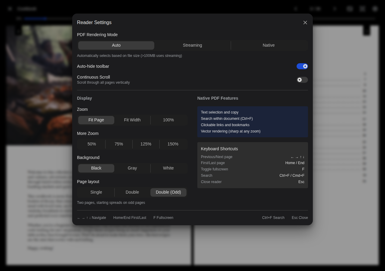 PDF Reader Settings